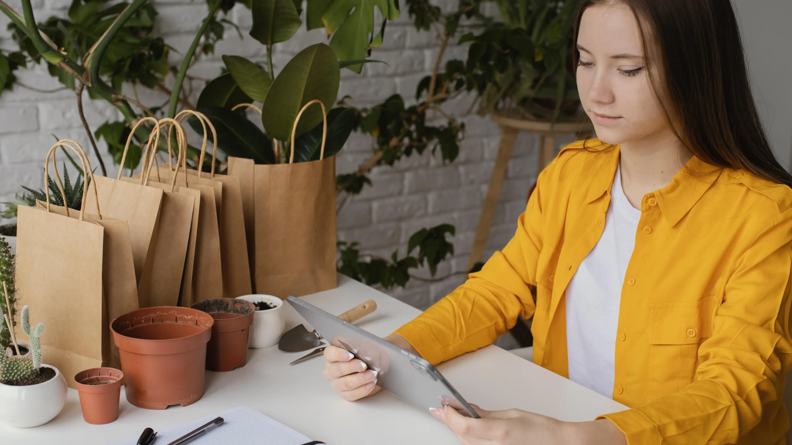 Aprenda a construir uma identidade visual para e-commerce. Destaque sua marca nos marketplaces e prepare seu catálogo para a expansão global.